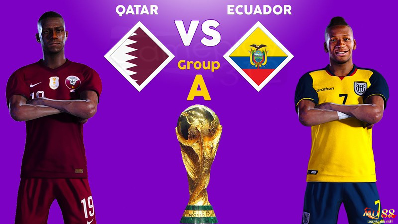 Thông tin chung về 2 đội Qatar vs Ecuador